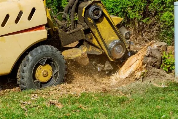 Stump Grinding in Melbourne