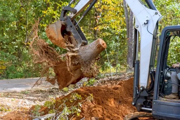 Stump Removal in Melbourne