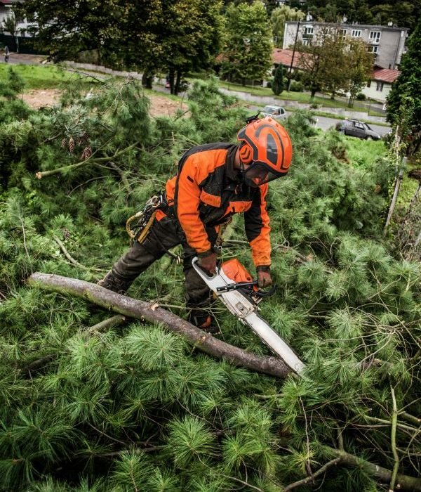 Tree lopping Melbourne